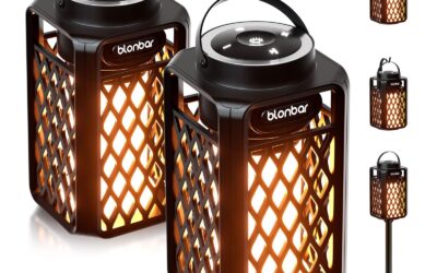 10W IP65 Waterproof Bluetooth Flame Speakers with Torch Lights