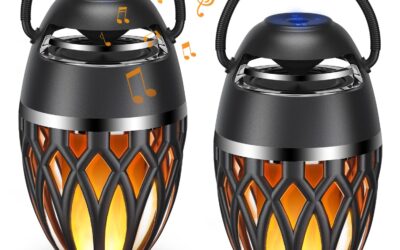 2-Pack Waterproof LED Flame Bluetooth Speakers for Outdoor Parties