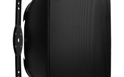 Dayton Audio IO8XTB 8″ Indoor/Outdoor Speaker w/ Bass Radiator