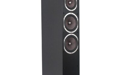 The Best arion floorstanding speaker rc of 2026 Reviewed and Compared