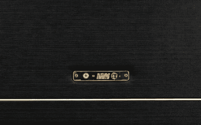 Are All Guitar Speakers the Same Size? Swapping Guide