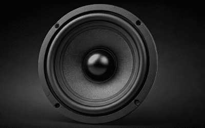 Are ARC Audio Component Speakers Better Than Focal? (Guide)