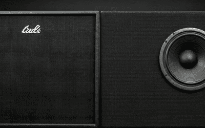 Are Cannabis Rex Speakers Any Good? (2024 Review & Guide)