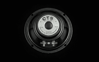 Are CTS Speakers Worth Anything? (Vintage Value Guide)