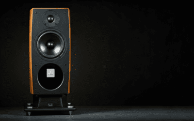 Are Dali Zensor 1 Speakers Good for Home Theater? (Expert Review)