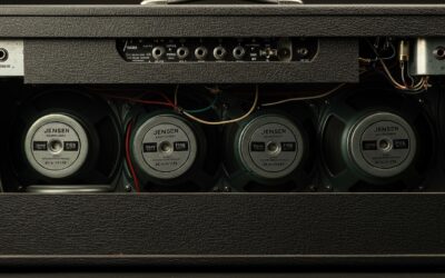 Are Jensen Bassman Speakers 8ohm or 2 ohm? (Guide)