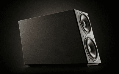 Are Loud Speakers Still Made Out of Wood? (Acoustic Guide)
