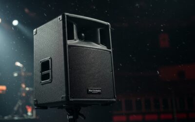 Are Martin Blackline Speakers Good? Expert Review & Guide