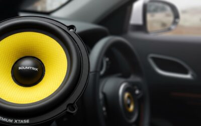 Are Soumatrix Speakers Worth It? 2024 Audiophile Review