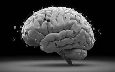 Are Speakers Born With Universal Grammar? The Expert Guide