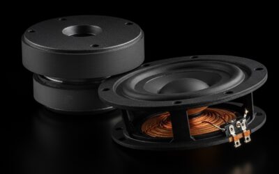 Are Speakers Magnetic or Just the Subwoofer? Expert Answer