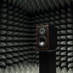 Are Speakers Tested in Free-Space Good? (Expert Guide)