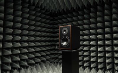 Are Speakers Tested in Free-Space Good? (Expert Guide)