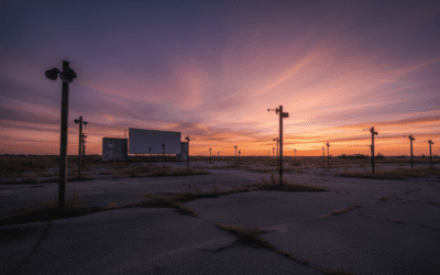 Are There Any Speakers Left at the Roxy Drive-In? (Status)