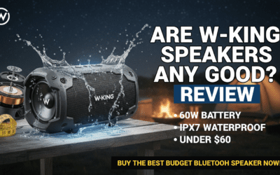 Are W-King Speakers Any Good? Review