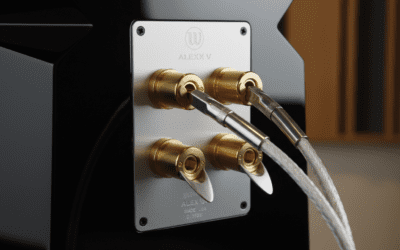 Are Wilson Alexx Speakers Bi-Wireable? Expert Setup Guide