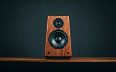 Best American Walnut Speakers: CEI Design & Top Picks 2024