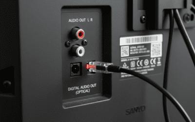 Can a Sanyo DP46812 TV Hook Up to External Speakers?
