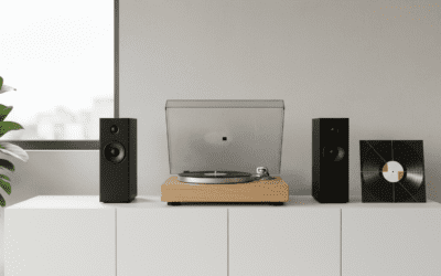 Can I Buy a Turntable and Speakers Only? (2024 Setup Guide)