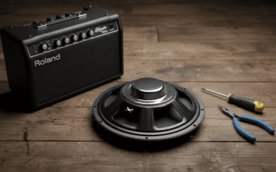 Can I Change Speakers in Blues Cube Hot Amp? (Full Guide)