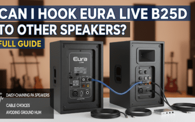 Can I Hook Eura Live B25D to Other Speakers? (Full Guide)