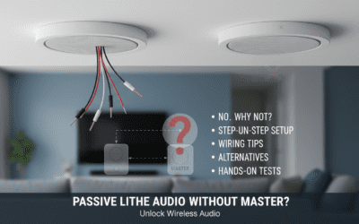 Can I Use Passive Lithe Audio Speakers Without Master?