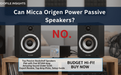 Can Micca Origen Power Passive Speakers?