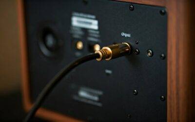 Can Speakers Act as DACs? How to Use Digital-Ready Speakers