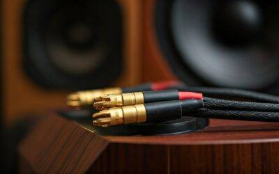 Can You Buy Ready Made Sound Cable for Speakers? Top Picks 2024