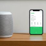 Can You Play Hulu Through Speakers on a Google Home? (2024)