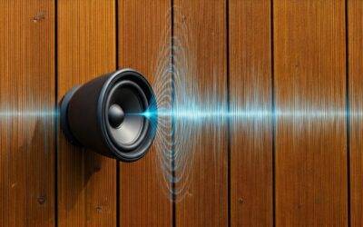 Can You Play Mosquito Sound Through Outdoor Speakers?