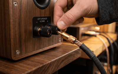 Do Banana Plugs Fit All Speakers? How-To Guide