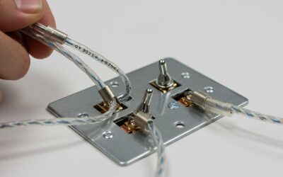 Guide to a Dual Gang Light Switch Used for Switching Speakers