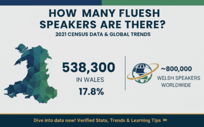 How Many Fluent Welsh Speakers Are There?