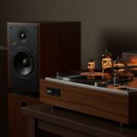 Speakers vs Receiver: Which is More Important for Vinyl?