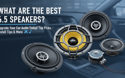 What Are the Best 6.5 Speakers?