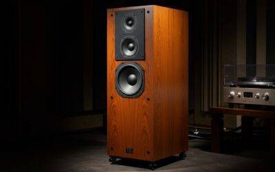 What Happened to TDL Speakers? The Rise and Fall of a Legend