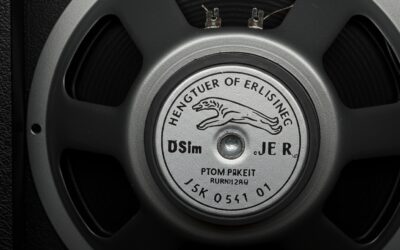 Who Made Randall Jaguar Speakers? (Eminence History & Specs)