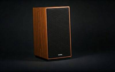 Who Makes Swan Speakers? Brand History & Expert Review