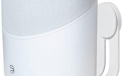 Bluesound Pulse M Review: Premium Omni-Hybrid Speaker