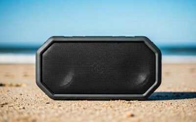 Are Turtlebox Speakers Worth It?