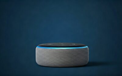 Can Echo Be Connected to Speakers?