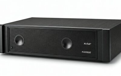 Can I Connect Powered Speakers to an Amplifier?