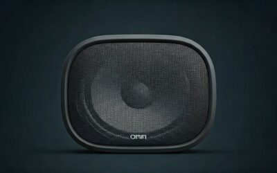 Can You Connect 2 Onn Party Speakers?