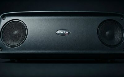 Can You Hook Speakers Up in Parallel Max?