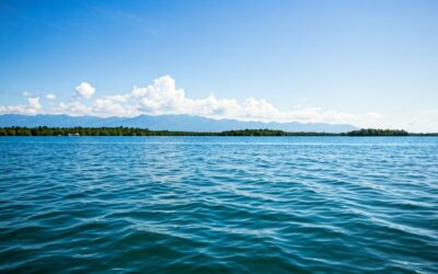 Do I Need Marine Speakers for My Boat?