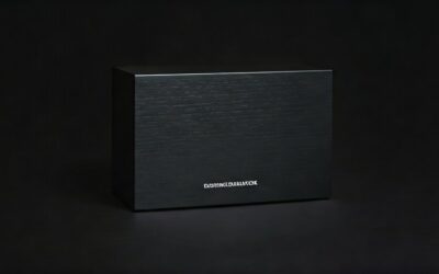 Do Ohms Matter in Speakers?