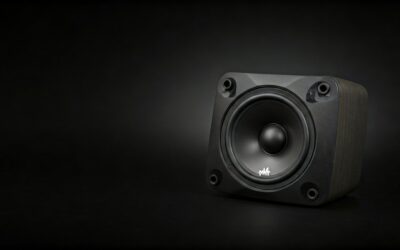 Does Polk Make Good Speakers? Yes!