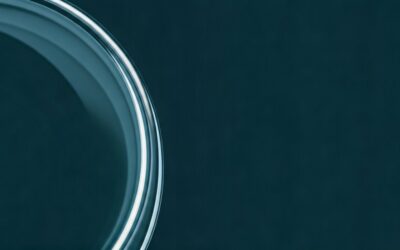Fix Phone Speakers Water Damage Guide