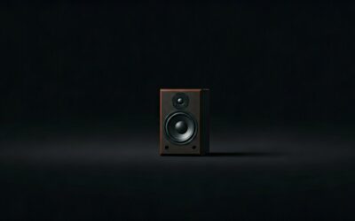 How Are Speakers Used? Step-by-Step